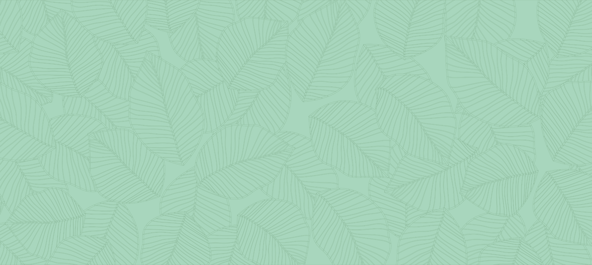 Green Background Image