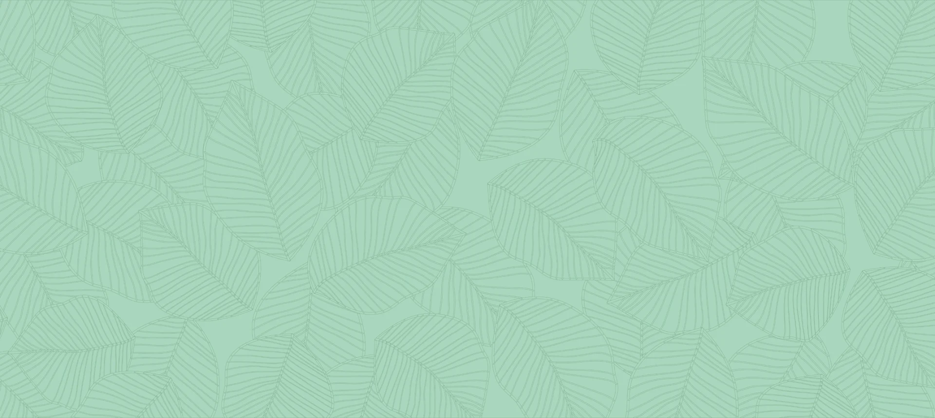 Green Background Image